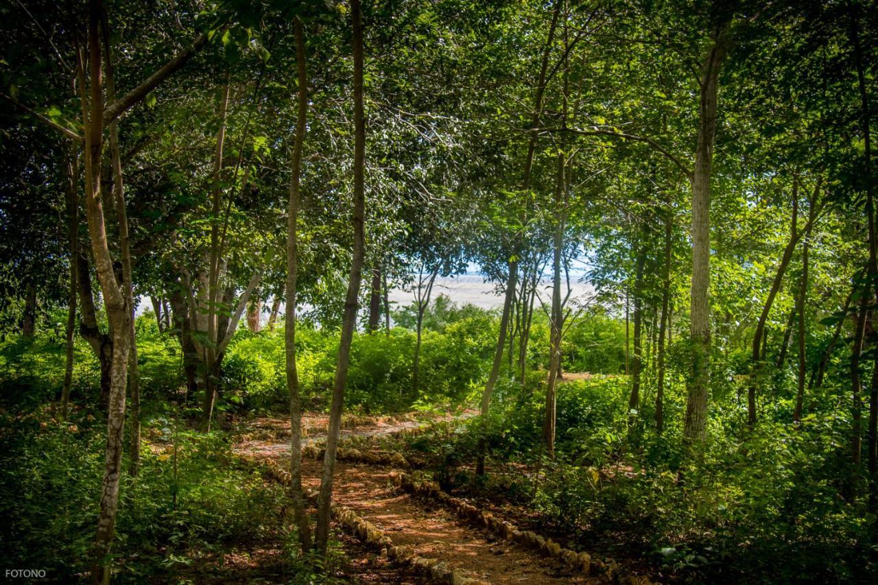 فندق Santa Ana في  Cayuco Camping Baru المظهر الخارجي الصورة